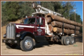 Logging, Log Trucking, Kenworth, 1972 Classic Truck, Timber, Self Loader, Self loading short log truck