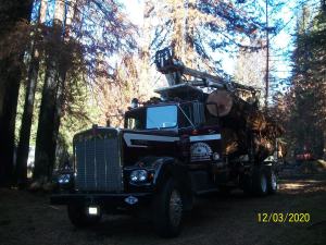 Logging and Log Transportation, Trucking, Logging, Clearing, Cutting