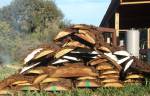 Fire wood, sawdust, bark, bark panels, landscaping, barn siding, roundpen siding, live edge slab cuts